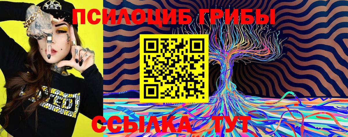 Галлюциногенные грибы прущие грибы  купить   Вход с VPN  Аксай  Галлюциногенные грибы прущие грибы 